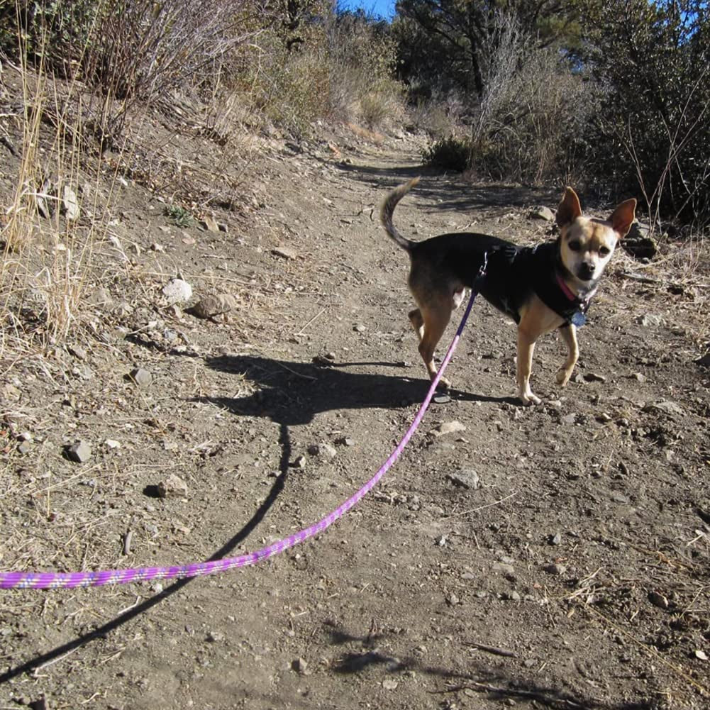 "Premium Nylon Dog Leash with Padded Handle - Durable and Stylish Leash for Large and Medium Dogs - Available in Multiple Lengths and Vibrant Colors!"