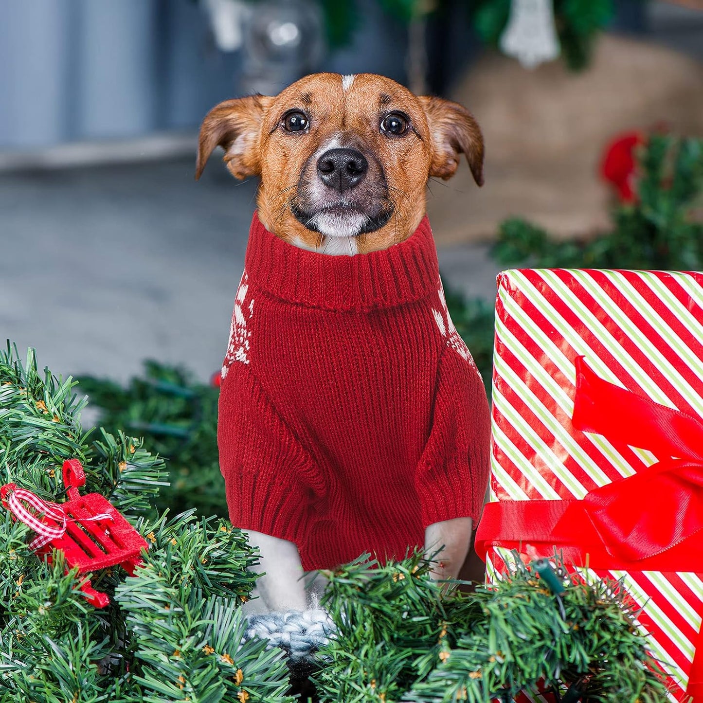 "Festive Reindeer Dog Sweater - Perfect for Christmas Celebrations! (Red, Medium)"