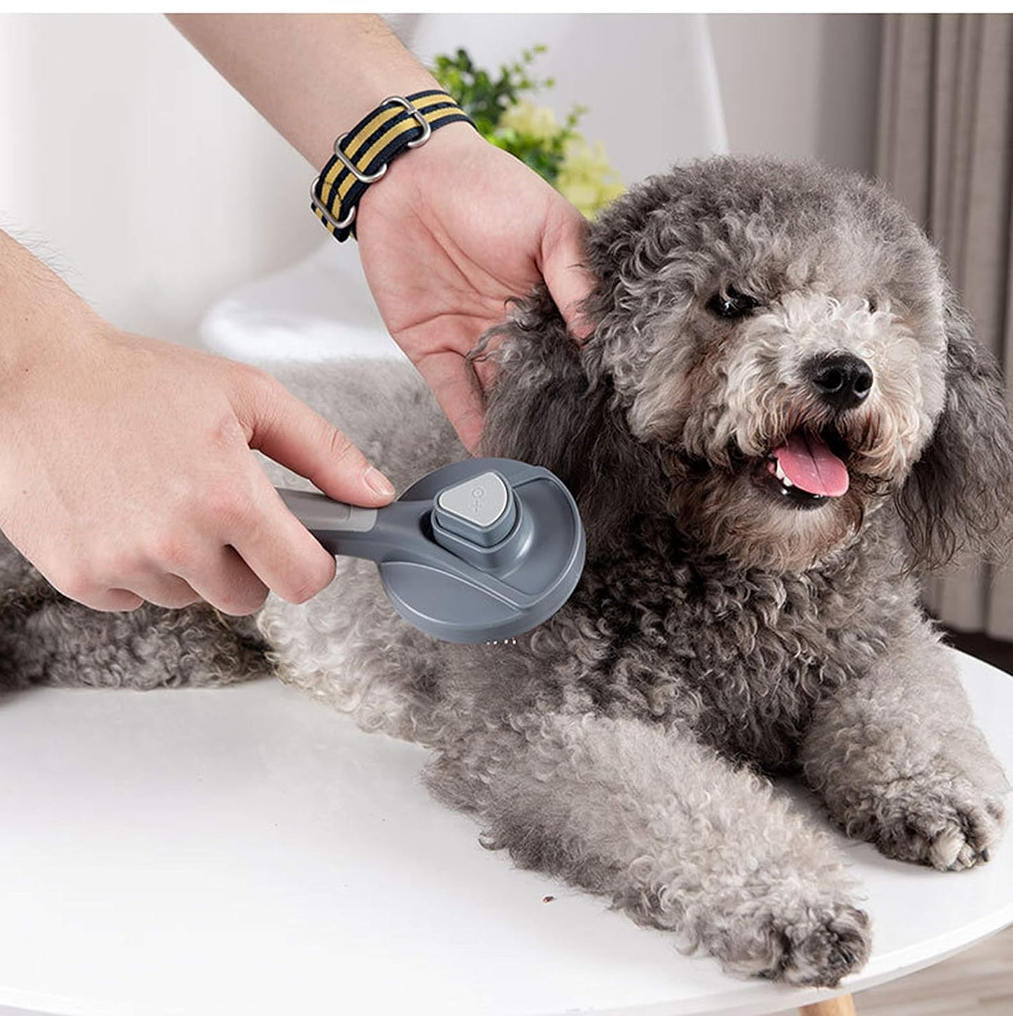 "Ultimate Self-Cleaning Pet Grooming Brush - Say Goodbye to Shedding Fur! Perfect for Dogs and Cats - Your Furry Friends Will Adore It! (Green)"