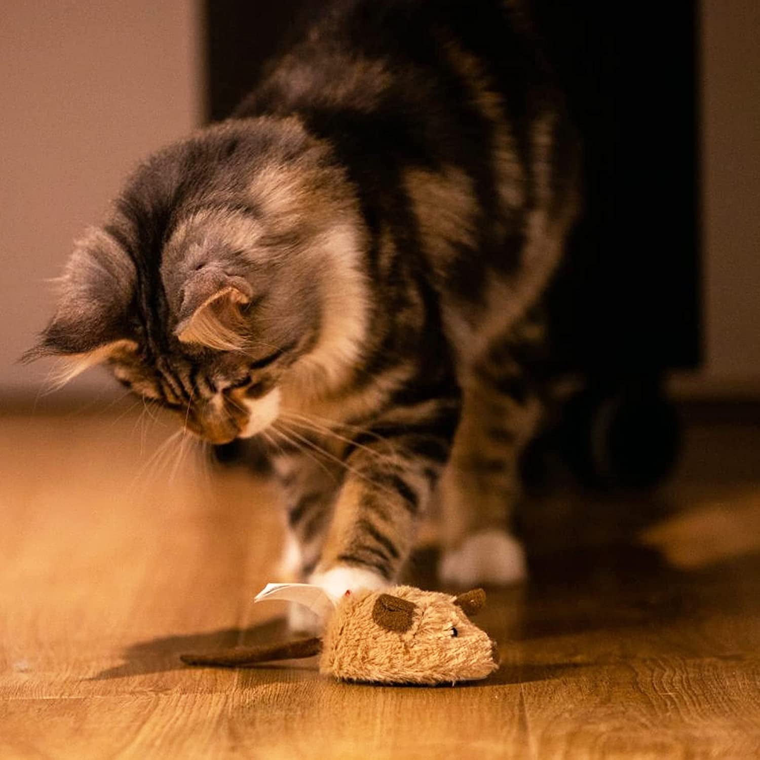 "Entertain and Engage Your Indoor Cat with Interactive Cat Toys for Fun Exercise and Realistic Mouse Sounds!"