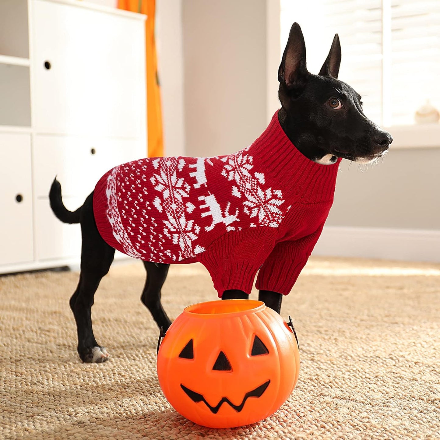 dog christmas sweater dress Red Christmas Dog Dress