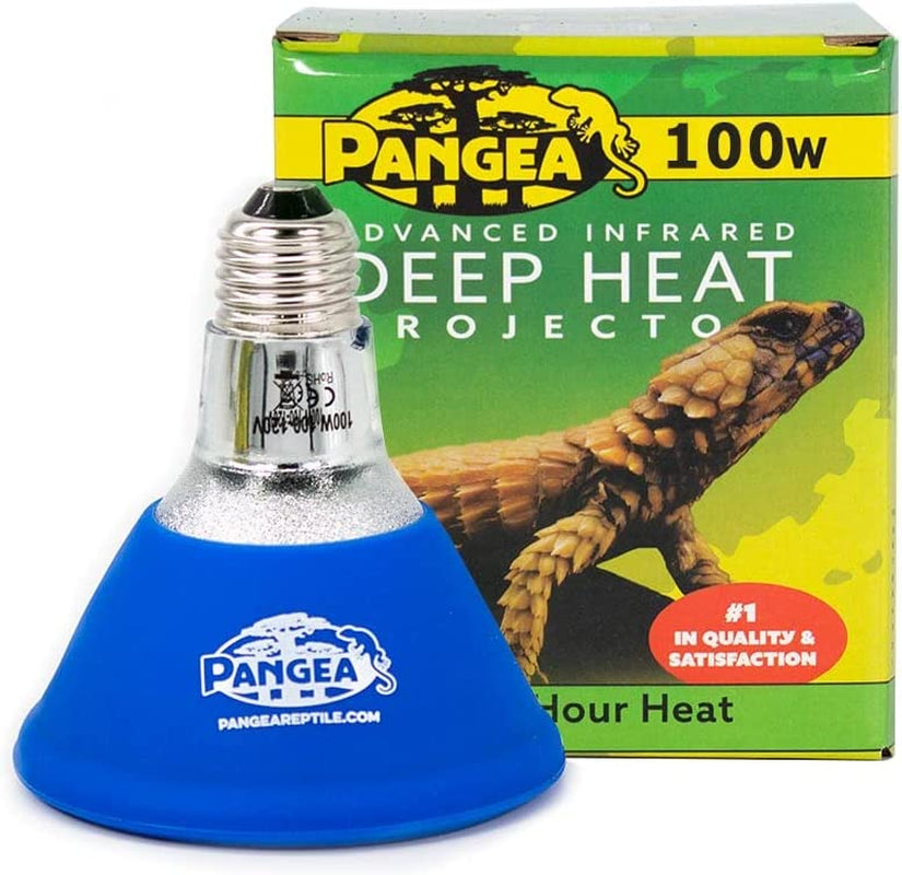 "Ultimate Heat Solution for Reptiles - Powerful 100 Watt Deep Heat Projector"